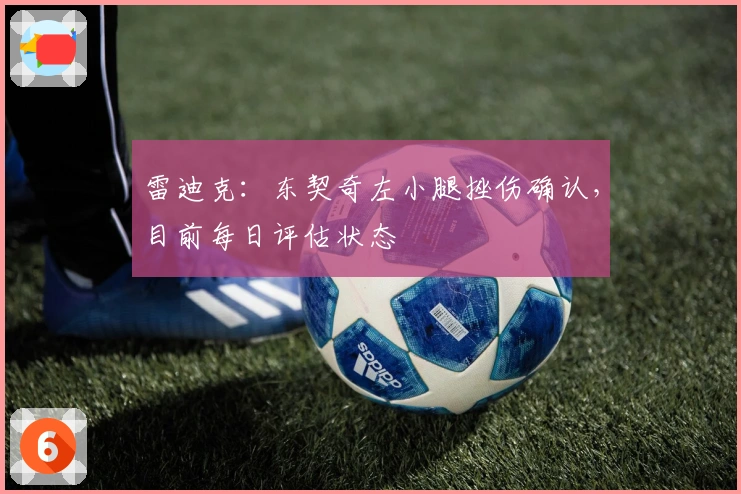 雷迪克：东契奇左小腿挫伤确认，目前每日评估状态
