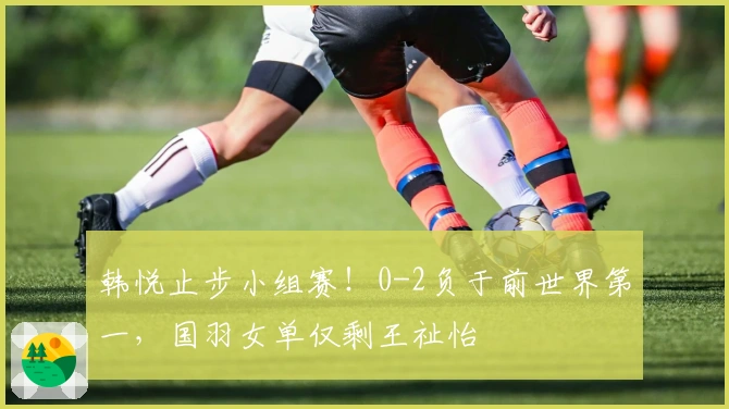 韩悦止步小组赛！0-2负于前世界第一，国羽女单仅剩王祉怡