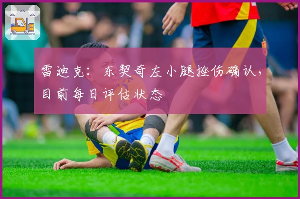 雷迪克：东契奇左小腿挫伤确认，目前每日评估状态