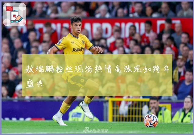 敖瑞鹏粉丝现场热情高涨宛如跨年盛典